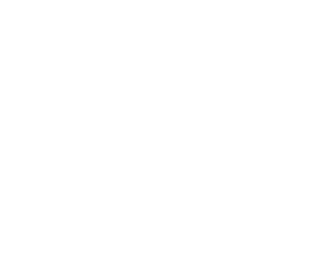 Just the globe key icon white
